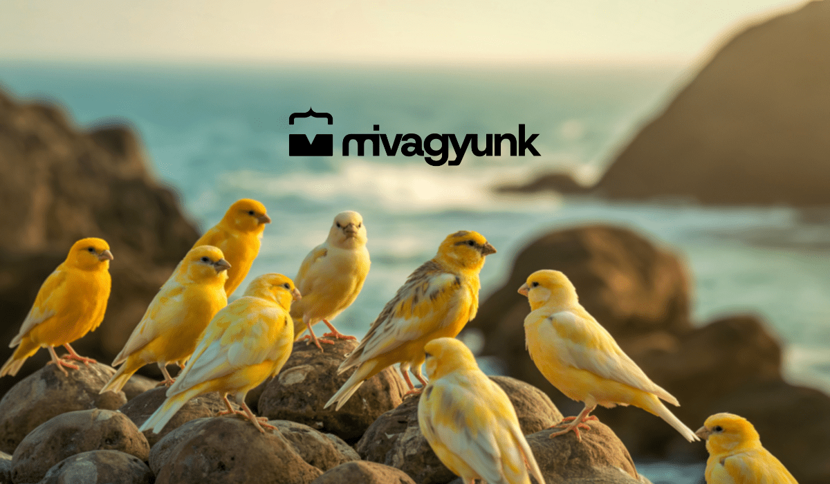 Pályakezdők az MI árnyékában